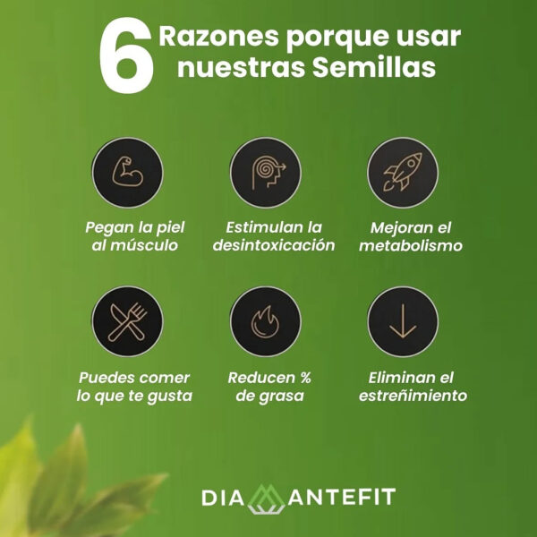 COMBO DETOX 90 DÍAS POWER