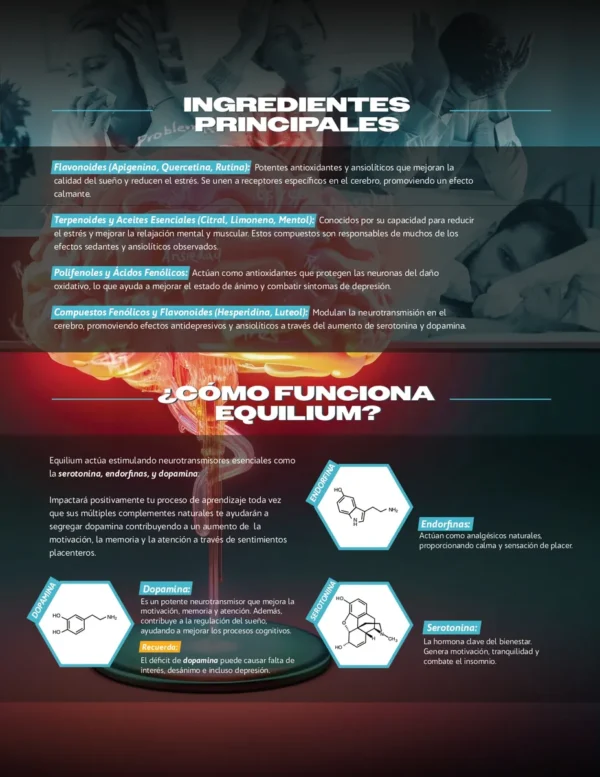 D_NQ_NP_2X_845329-MCO80997394577_112024-F EQUILIUM Calmante natural