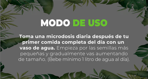 SEMILLAS NATURALES DE DIAMANTE 90 DÍAS